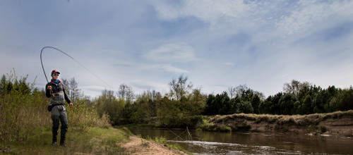Skjern Å tiltrækker nu både laks og turister